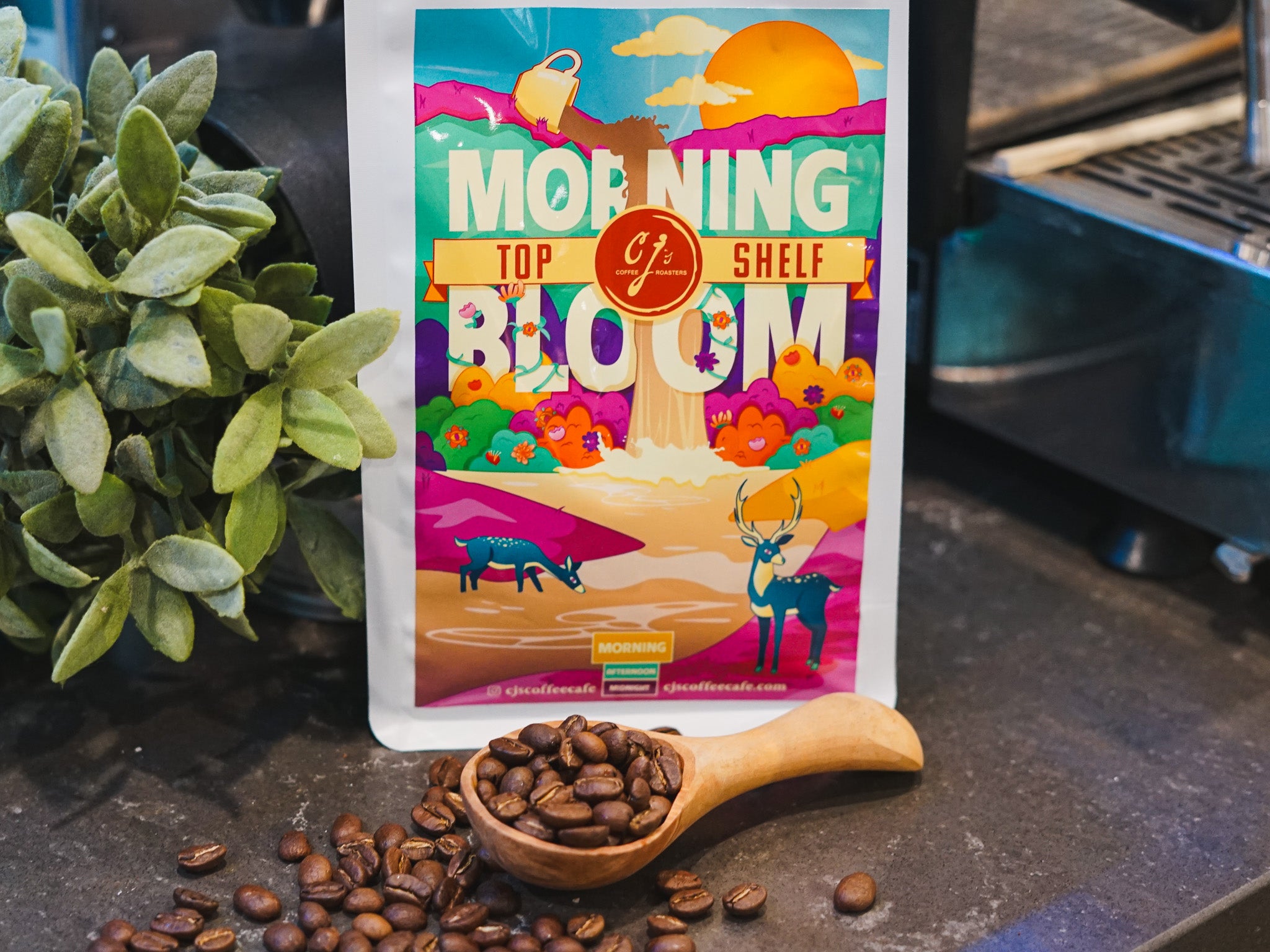 CJ's Roasters Morning Bloom Single Origin Guatemalan Geisha Whole Bean
